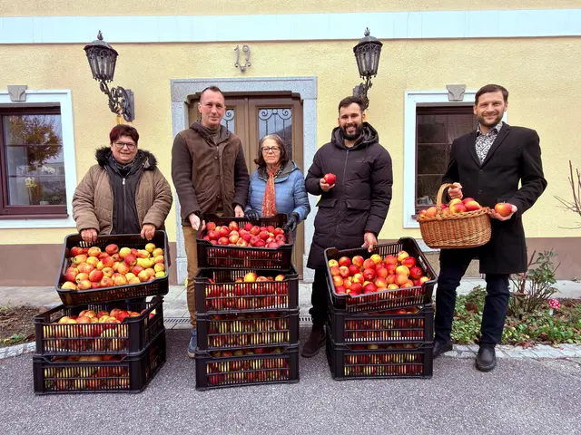 Angela Aigner, Thomas Wahl, Dolores Pankratz,  Markus Maringer, Jürgen Weißenbek.  | Foto: Volkspartei Ennsdorf