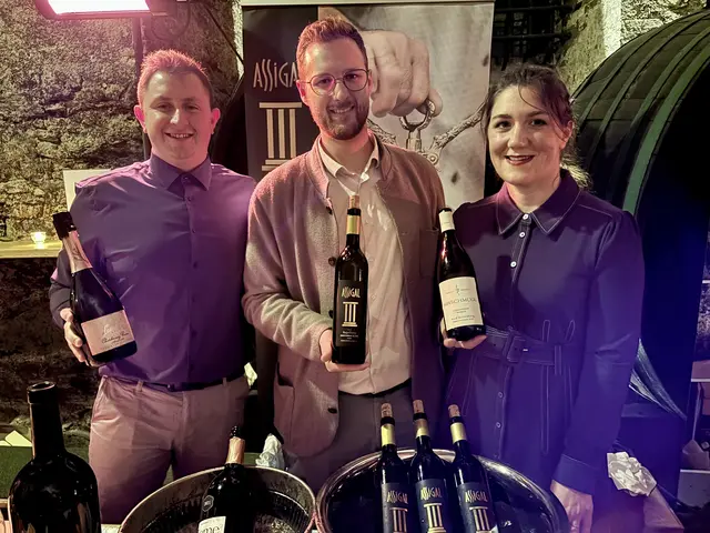 Viktoria Sturm präsentierte das Weingut Hirschmugl, bestens begleitet von Mathias Prugmaier, Weingut Assigal und Hisa Vina Leber. | Foto: B.Gady