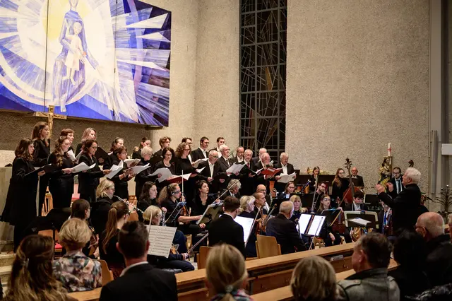 Foto: Rudolf Kreinecker