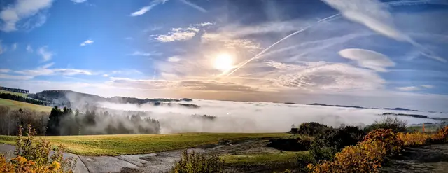 Foto: Andrea Handler Gschweidl