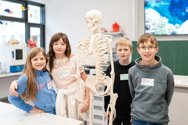 Schüler*innen aus der 1C und 1E mit dem jährlich zum Einsatz kommenden Skelett im Biologiesaal. | Foto: BG/BRG Perchtoldsdorf (Lisa Fischer)