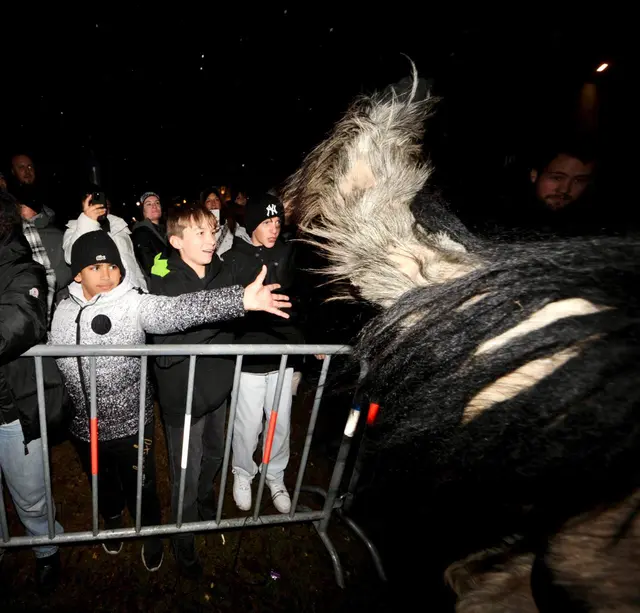 Foto: Sascha Trimmel