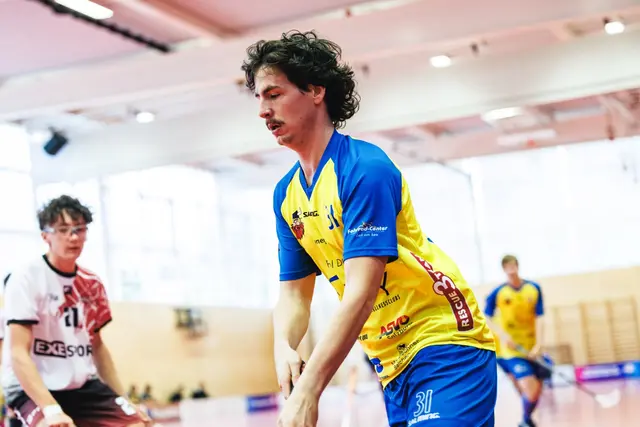 Die Zeller Wikings gewannen mit 14:3 gegen Feldkirch. | Foto: Johannes Radlwimmer