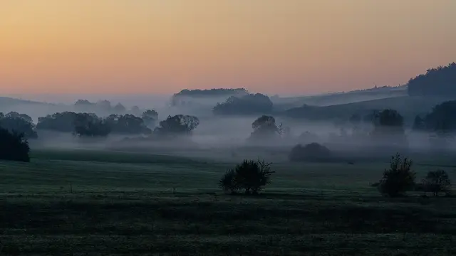 Um das Moor am Zickenbach rankt sich manche mystische Geschichte. | Foto: Verein Rund ums Moor