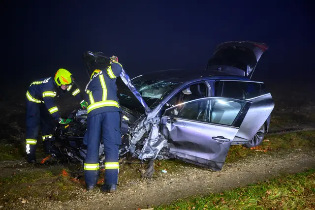 Foto: TEAM FOTOKERSCHI / WERNER KERSCHBAUMMAYR