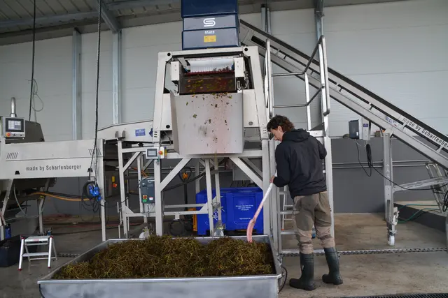 Die neue optische Sortieranlage entfernt automatisch nicht perfekte Beeren und bringt einen deutlichen Qualitätsschub. | Foto: Rosenberger Victoria