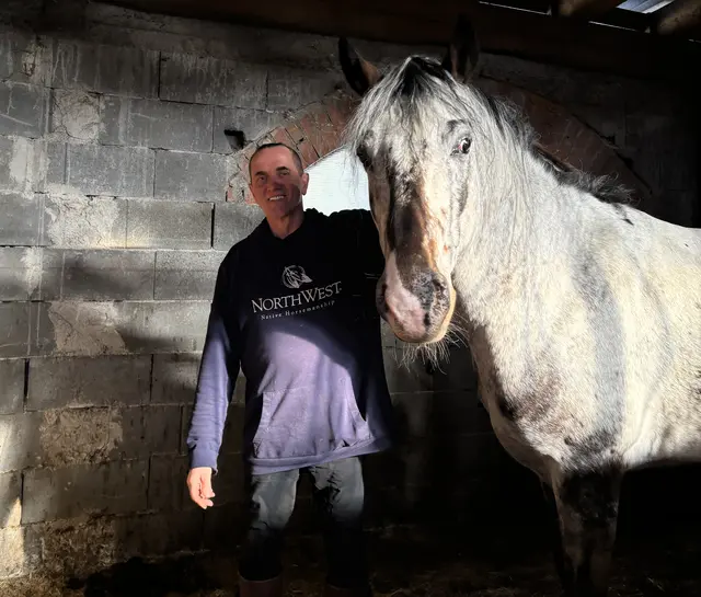 Johannes Wagner mit einem seiner M'amin Hengste. | Foto: MeinBezirk/Leonie Herrmann