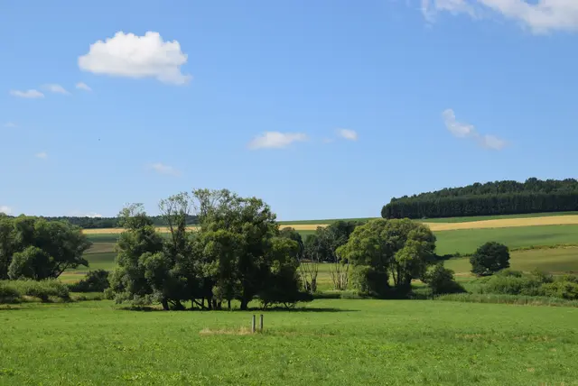 Das Moor bei Tag ... | Foto: Martin Wurglits
