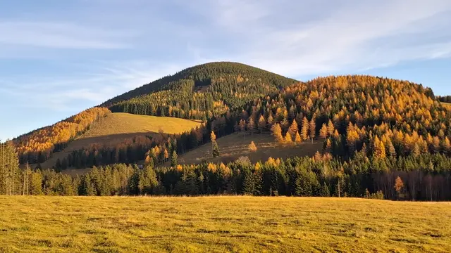 .....noch ein letzter Blick zum OSSER, 
nach 15km AUF und AB.