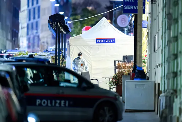 Foto: MAX SLOVENCIK / APA / picturedesk.com