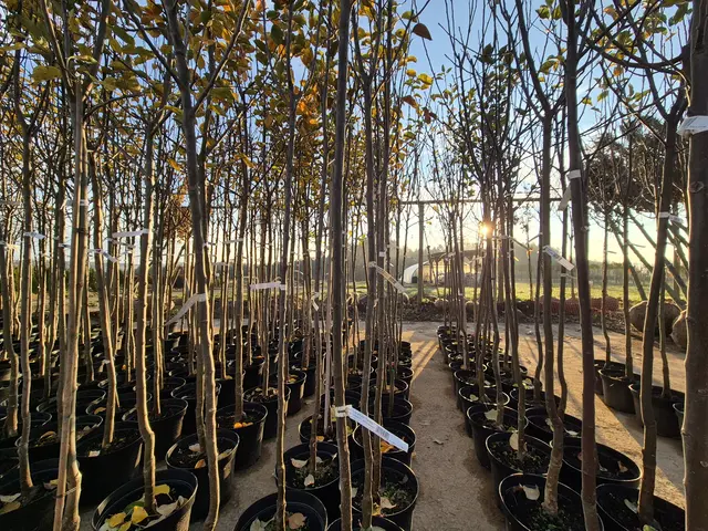 Die Streuobstaktion war in der Region Südweststeiermark wieder ein voller Erfolg. | Foto: RMSW KS