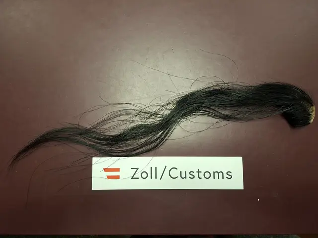 Foto: Bundesministerium für Finanzen/Flickr