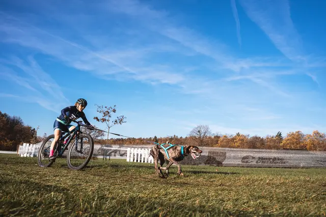 Foto: Dominika Kaločai