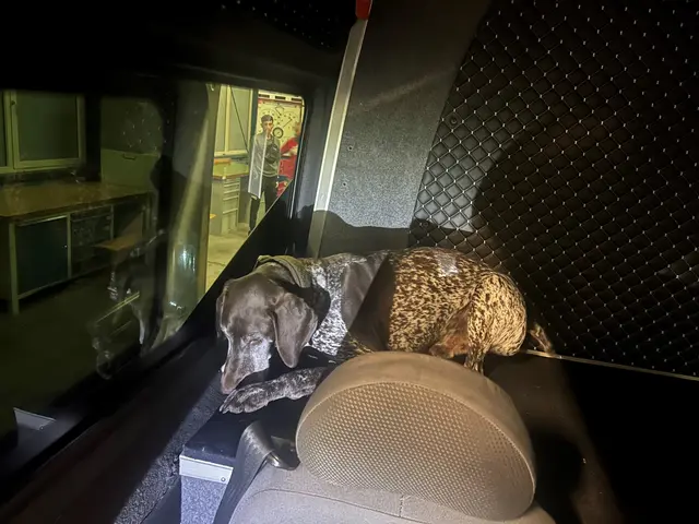 Foto: Bundesministerium für Finanzen/Flickr