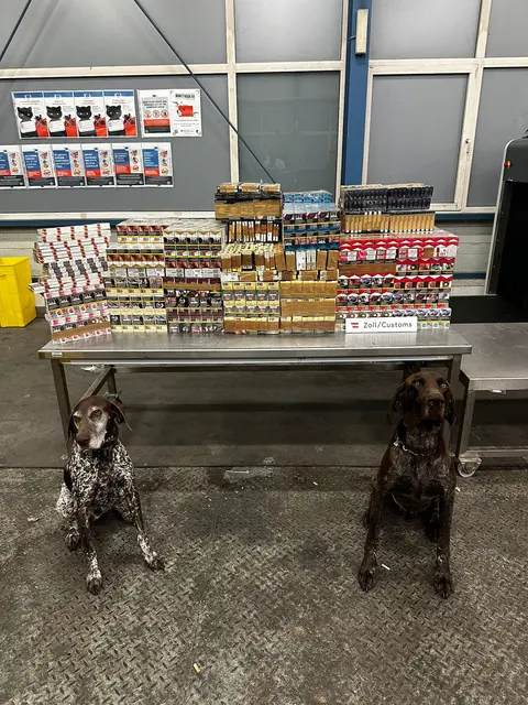 Beschlagnahmt wurden mehr als 390.000 geschmuggelte Zigaretten. | Foto: Bundesministerium für Finanzen/Flickr