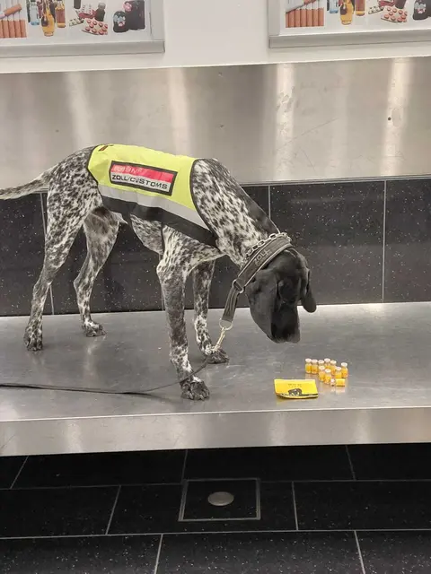 Foto: Bundesministerium für Finanzen/Flickr