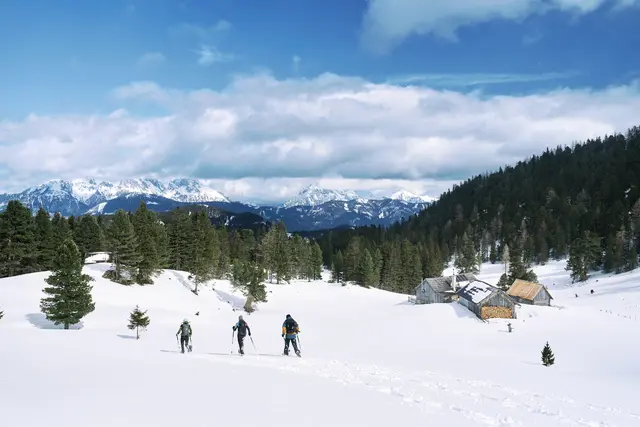 Beim Schneeschuhschlemmen trifft Bewegung auf kulinarischen Genuss: gut markierte Wege führen zu Hütten, wo regionale Spezialitäten warten.  | Foto: Robert Maybach