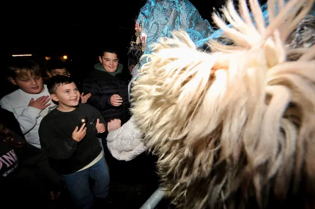 Foto: Sascha Trimmel