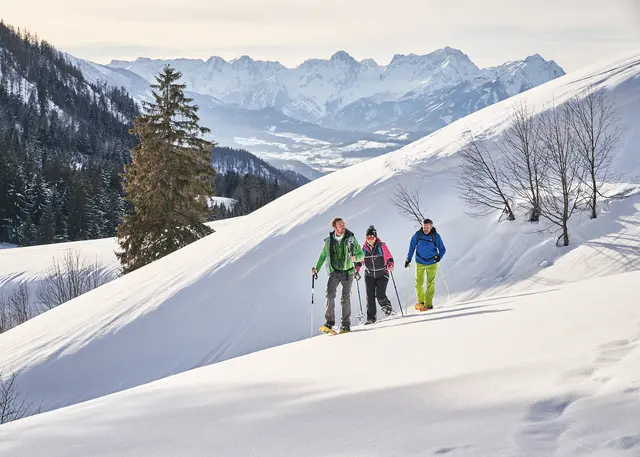 Bei einer Schneeschuhtour kann man die Stille der winterlichen Bergwelt genießen.  | Foto: Roman Königshofer