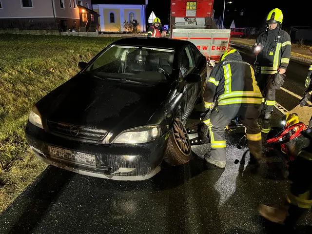 Die Feuerwehr begann sofort mit der Bergung. | Foto: FF Waidhofen/Thaya