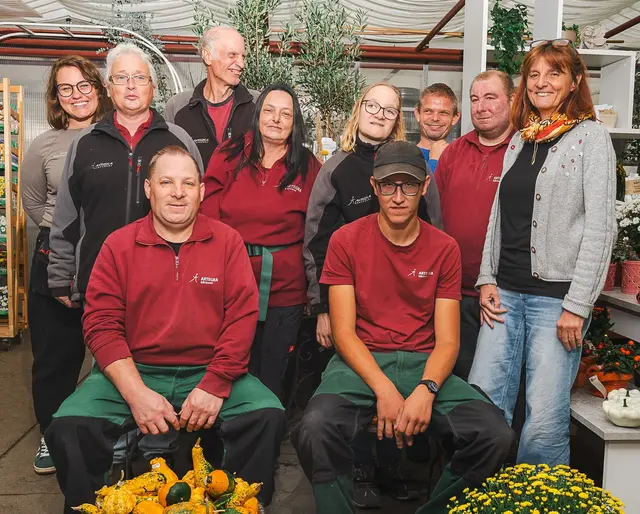 Die Mitarbeiter von Arcus Altenfelden und Artegra stecken heuer hinter den Wunschkalender-Türchen.  | Foto: Xortex
