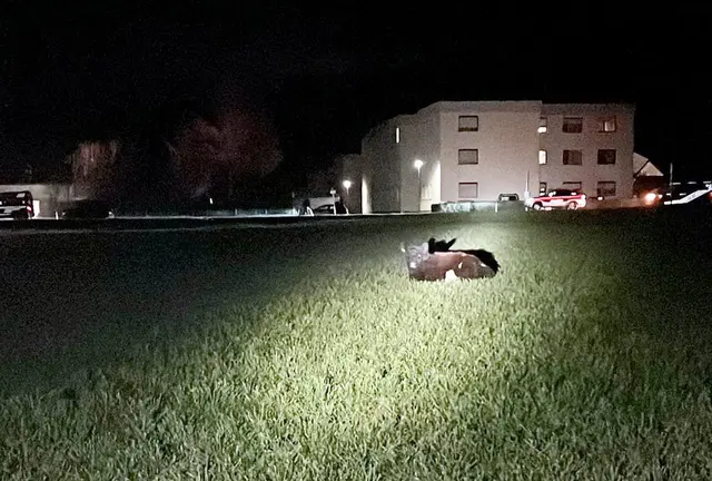Der Bereich musste gesichert werden. | Foto: Feuerwehr Weißkirchen