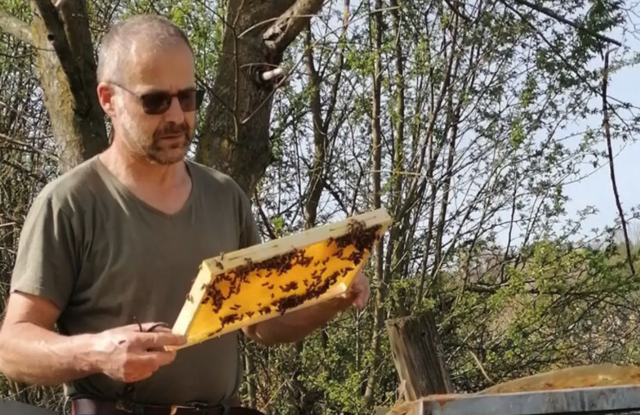 Siegmund Rosenzopf und Familie produzierten heuer den besten Kastanienhonig Österreichs. | Foto: MeinBezirk