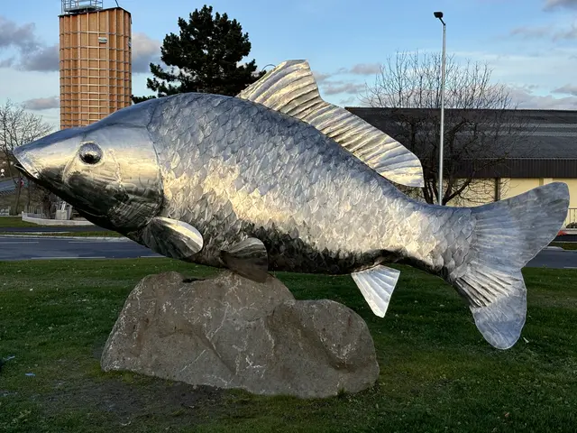 Die Karpfen-Skulptur am neuen Kreisverkehr in Waidhofen/Thaya | Foto: Daniel Schmidt