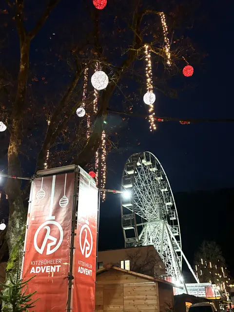 Foto: Nikolaus Kogler