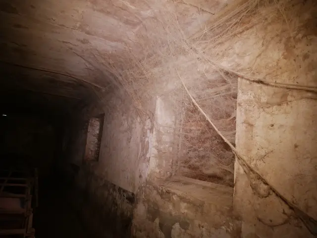 Foto: VGT - Verein gegen Tierfabriken