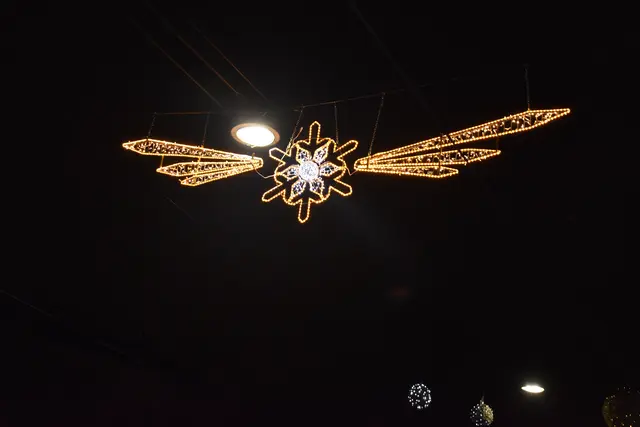 Foto: Patricia Hillinger/MeinBezirk