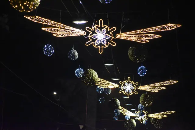 Foto: Patricia Hillinger/MeinBezirk