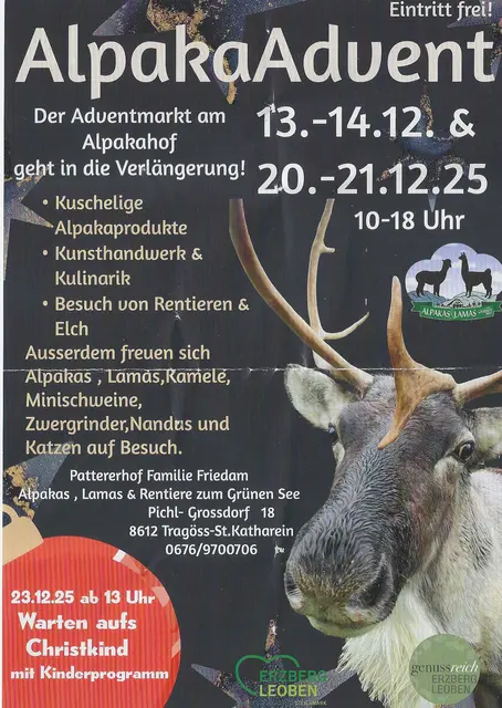 Adventmarkt, Alpakas, Tragöss