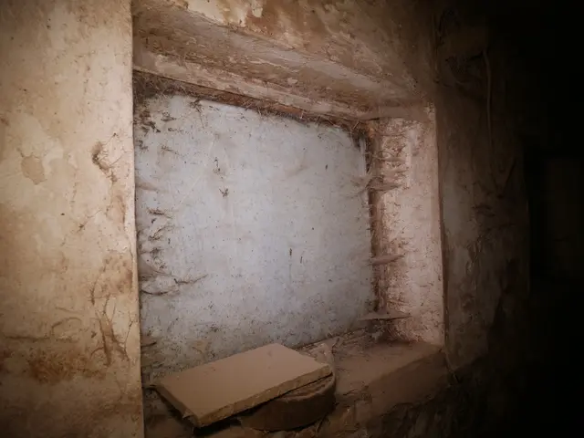 Foto: VGT - Verein gegen Tierfabriken