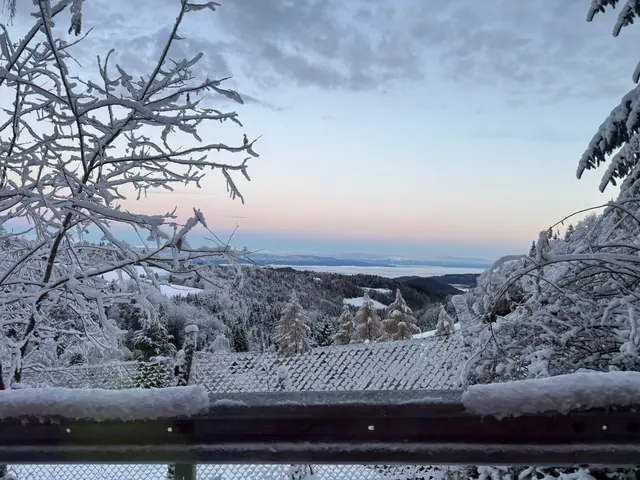 Die Südsteiermark mit winterlichen Schneekleid | Foto: Waltl