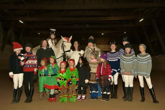 Auch beim CRG Reitclub Innsbruck-Igls herrscht vorweihnachtliche Stimmung und Vorfreude auf die Weihnachtsfeier am 20.12. | Foto: Federspiel