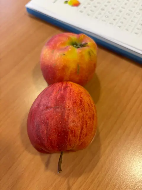 Foto: Ganglberger Erika