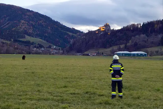 Das entlaufene Rind war in Eppenstein unterwegs. | Foto: Feuerwehr Weißkirchen