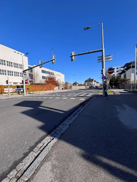 Einstimmig wurde die Aufhebung der Einbahnregelung in der Eisenhowerstraße beschlossen – jetzt ist das Land am Zug. | Foto: ÖVP Wels