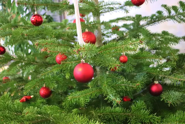 Beim Adventbazar in Hitzendorf sorgt der Vinzenzverein für das leibliche Wohl. | Foto: Edith Ertl