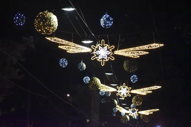 Foto: Patricia Hillinger/MeinBezirk