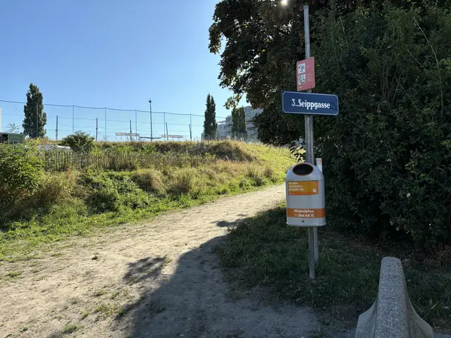 Der Weg bei der Seippgasse wurde im Juli entsiegelt, die anschließende Ansaat scheiterte.  | Foto: Luca Arztmann/MeinBezirk