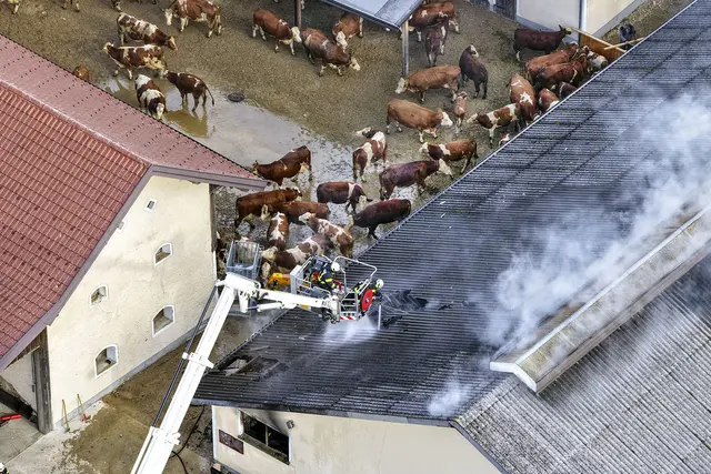 Die Einsatzkräfte sind aktuell noch mit den Nachlöscharbeiten beschäftigt. | Foto: Manfred Fesl