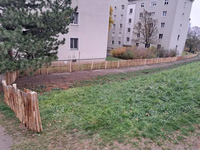 Aktuell schützt bereits ein "Chestnutzaun" den Bereich.  | Foto: FPÖ Landstraße