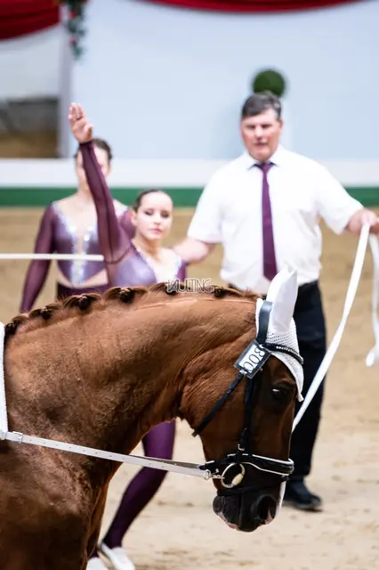 Foto: Andrea Fuchshumer