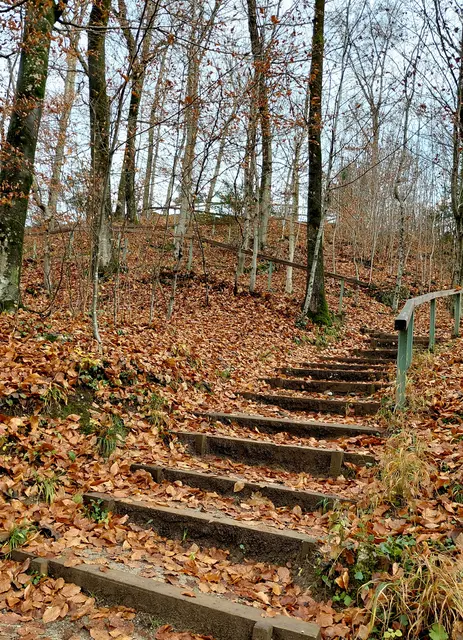 Weg zum Stadtblick  | Foto: H.Bachinger
