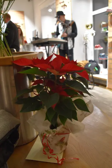 Foto: Patricia Hillinger/MeinBezirk