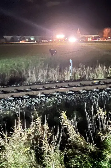 Der Bereich musste gesichert werden. | Foto: Feuerwehr Weißkirchen