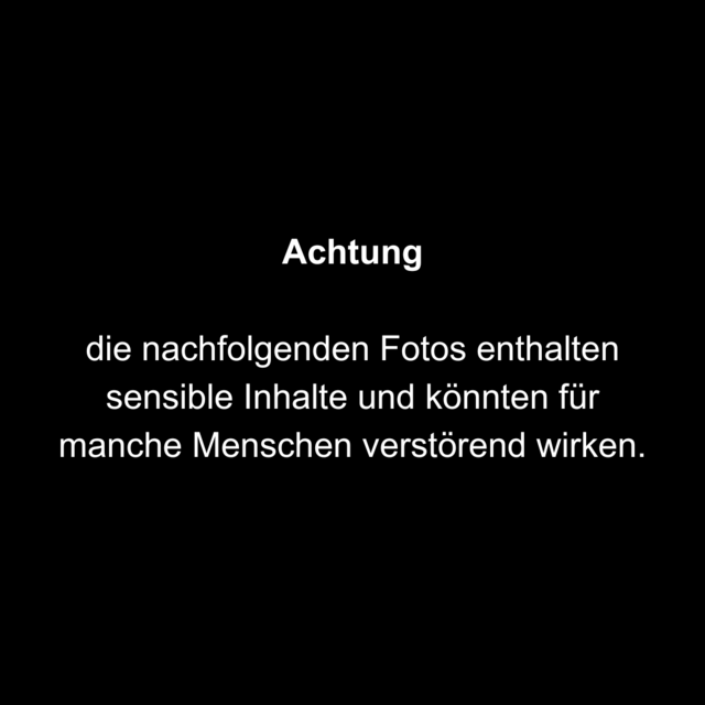 Achtung - Aufnahmen zeigen Gewalt und Tierleid. | Foto: Verein gegen Tierfabriken