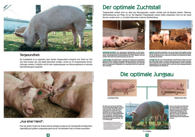 Folder  | Foto: HP Gut Hardegg